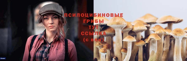 синтетический гашиш Каменск-Шахтинский