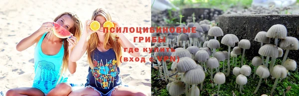 синтетический гашиш Каменск-Шахтинский