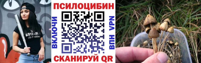 Псилоцибиновые грибы GOLDEN TEACHER  Купить где  Лянтор 